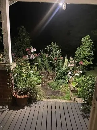 Comfort Oda, Birden Çok Yatak, Nehir Manzaralı
