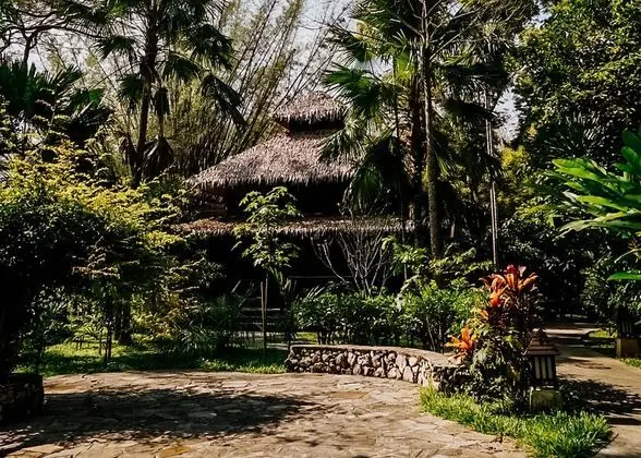 Jungle Chalet