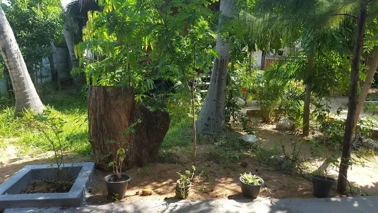 Family Üç Kişilik Oda, Bahçe Manzaralı