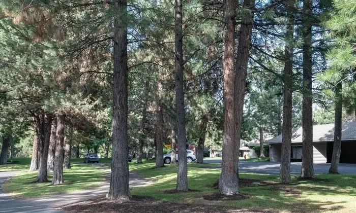 Daire, Birden Çok Yatak (River Ridge 414AB)