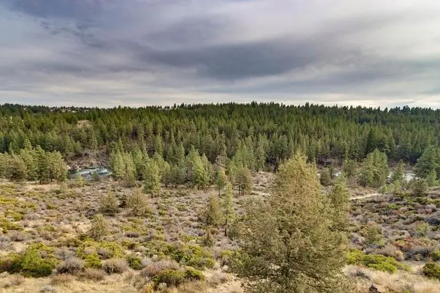 Daire, Birden Çok Yatak (River Ridge 425A)
