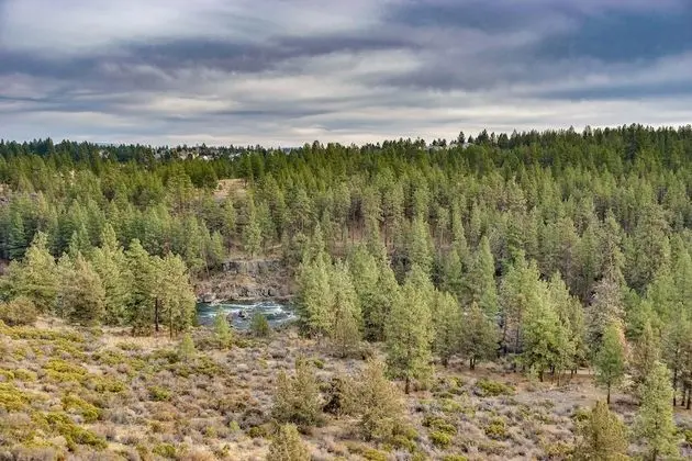 Daire, Birden Çok Yatak (River Ridge 425A)