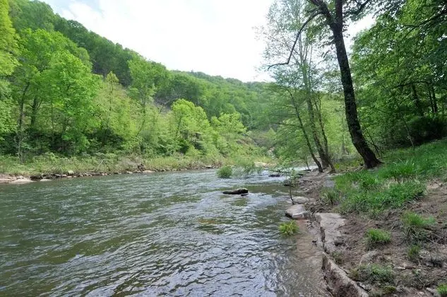 Ev, Birden Çok Yatak (River Time Cabin -Time floats away!)