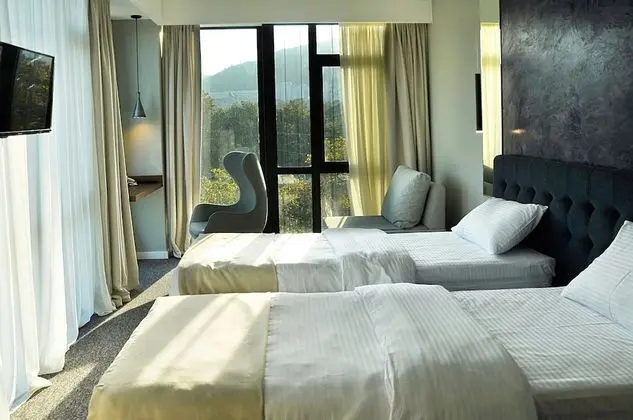 Deluxe Tek Büyük veya İki Ayrı Yataklı Oda, Şehir Manzaralı