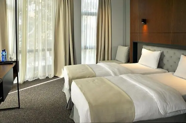 Deluxe Tek Büyük veya İki Ayrı Yataklı Oda, Şehir Manzaralı