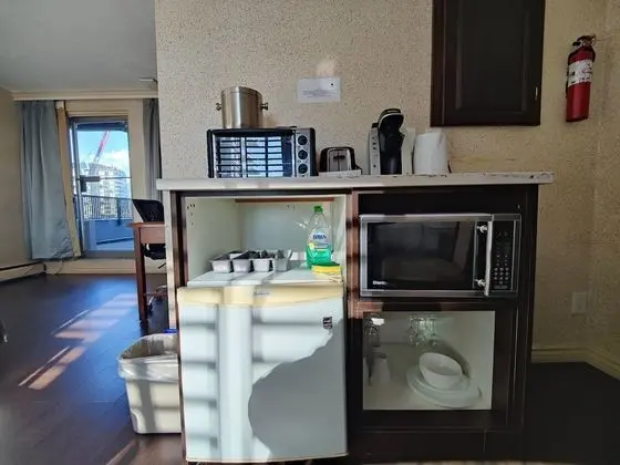 Süit