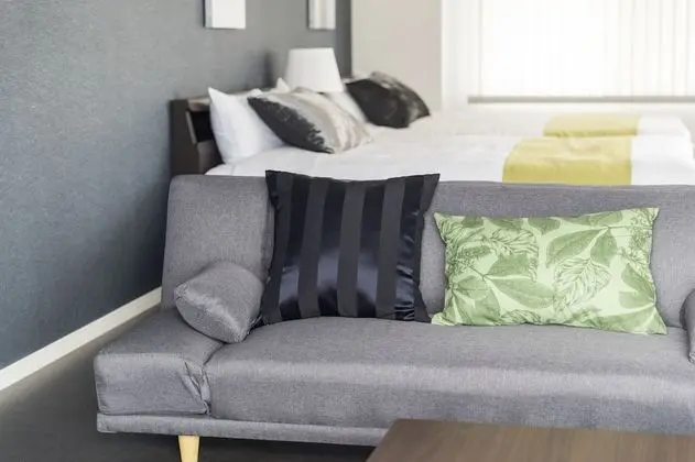 Deluxe Apart Daire, Birden Çok Yatak, Sigara İçilmez, Mutfak (Apartment)