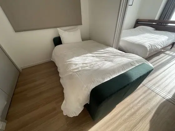 Deluxe Apart Daire, Birden Çok Yatak, Sigara İçilmez, Mutfak (Apartment)