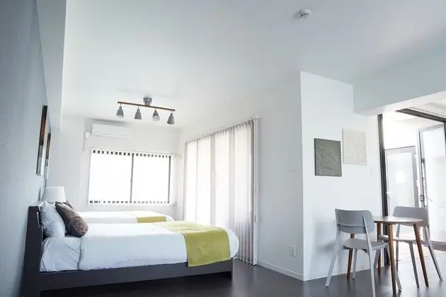 Deluxe Apart Daire, Birden Çok Yatak, Sigara İçilmez, Mutfak (Apartment)