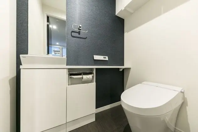 Deluxe Apart Daire, Birden Çok Yatak, Sigara İçilmez, Mutfak (Apartment)