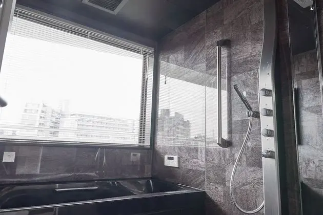 Deluxe Apart Daire, Birden Çok Yatak, Sigara İçilmez, Mutfak (Apartment)