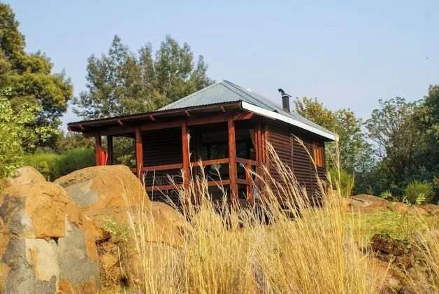 Dragonfly Cabin (5)