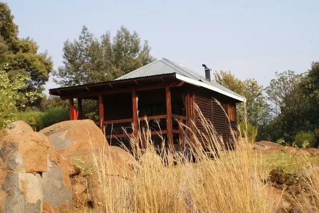 Dragonfly Cabin (5)