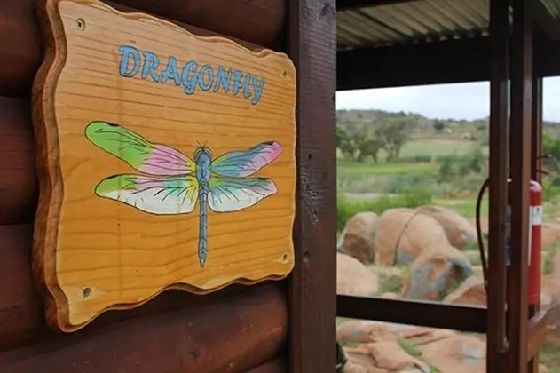 Dragonfly Cabin (5)