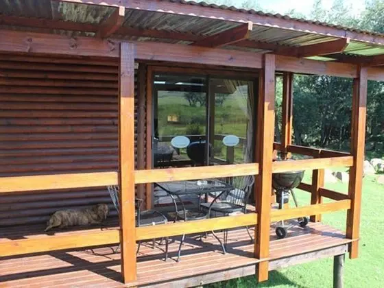 Dragonfly Cabin (5)