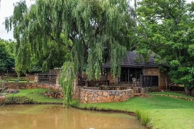 Golden Cabin (3)