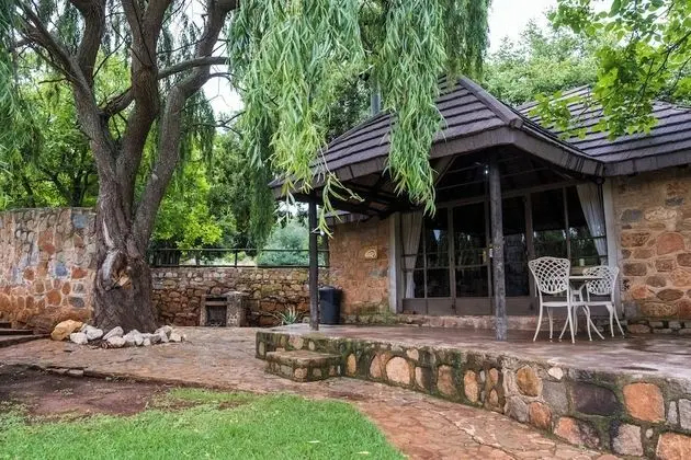 Golden Cabin (3)
