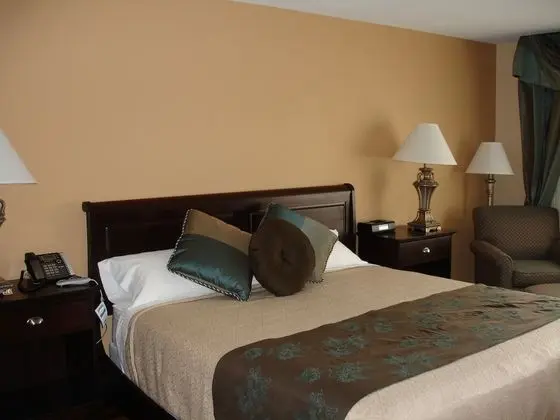 Standard Oda, 1 En Büyük (King) Boy Yatak, Sigara İçilmez