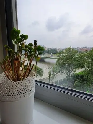 Superior Apart Daire, 1 Yatak Odası, Nehir Manzaralı