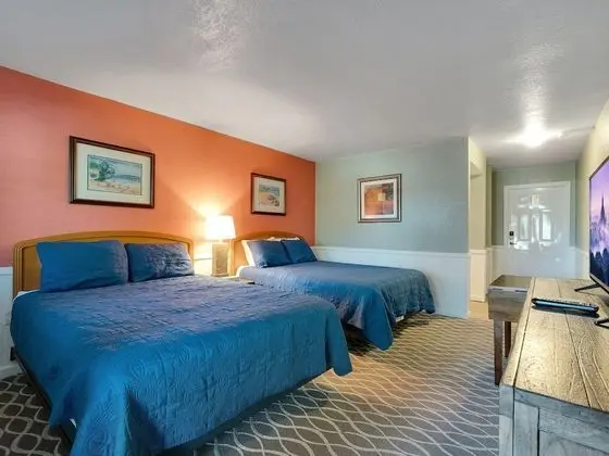 Basic Tek Büyük Yataklı Oda