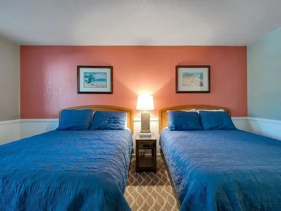 Basic Tek Büyük Yataklı Oda