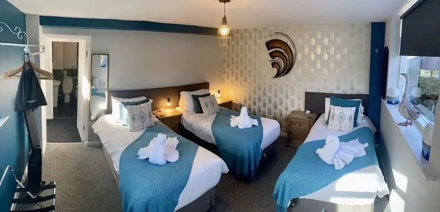 Üç Kişilik Oda, Banyolu/Duşlu