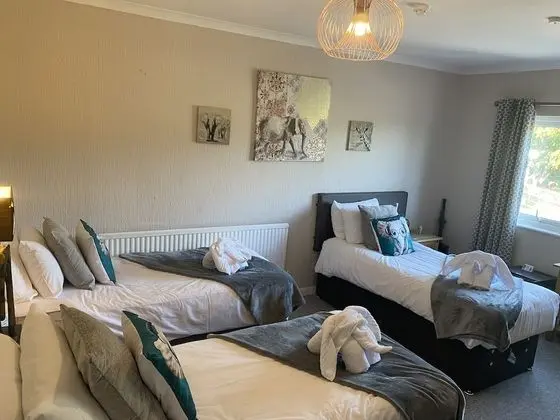 Üç Kişilik Oda, Banyolu/Duşlu