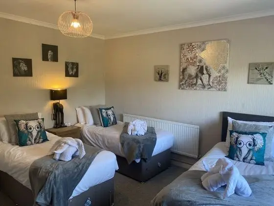 Üç Kişilik Oda, Banyolu/Duşlu