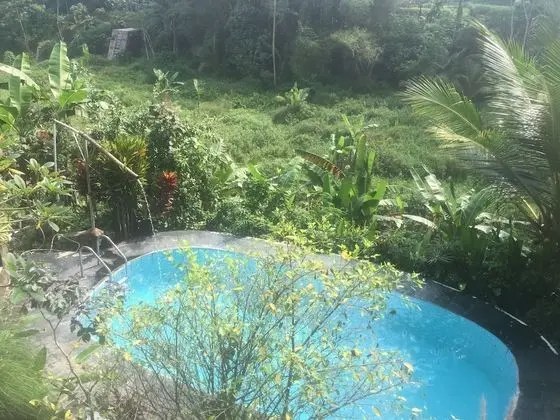 Traditional Stüdyo, 2 Yatak Odası, Nehir Manzaralı (Big Javanese)