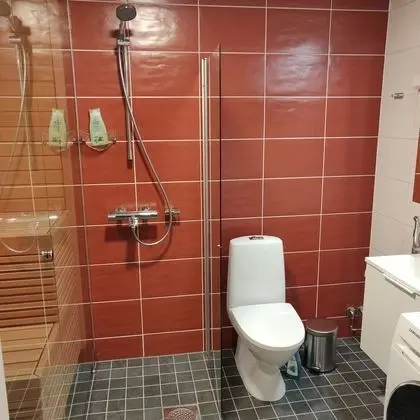 Deluxe Apart Daire, Sauna