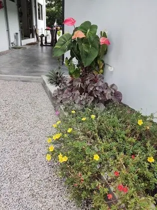 Apart Daire, Birden Çok Yatak