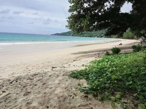 Apart Daire, Birden Çok Yatak