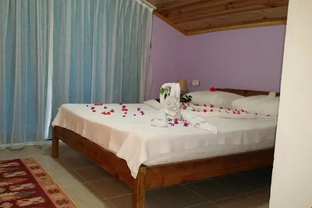 Balayı Suit