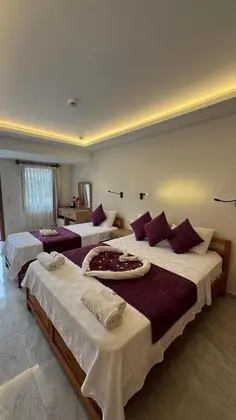 Triple, Bahçe Manzaralı