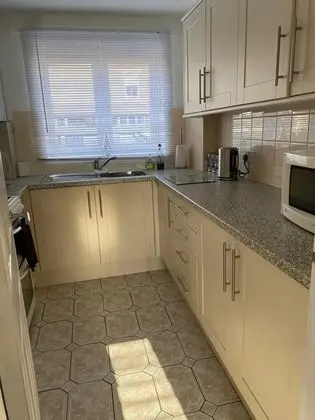 Apart Daire, 1 Yatak Odası, Mikrodalga