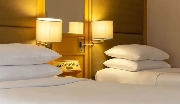 Deluxe Oda, 2 Tek Kişilik Yatak, Şehir Manzaralı