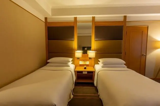 Deluxe Oda, 2 Tek Kişilik Yatak, Şehir Manzaralı