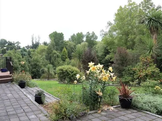 Süit, Zemin Kat