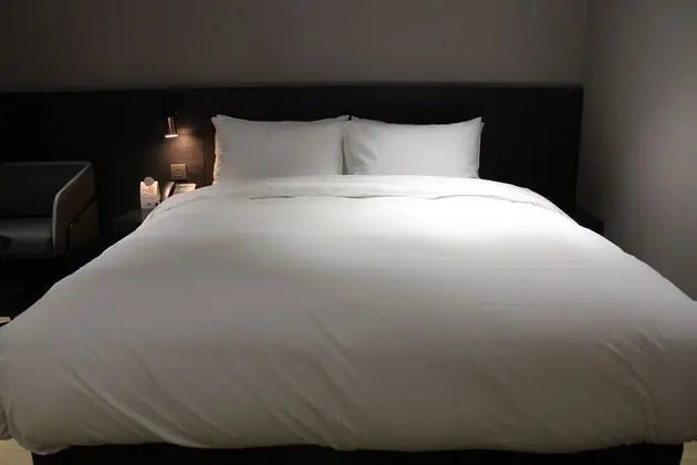 Standard Tek Büyük Yataklı Oda, Sigara İçilmez, Şehir Manzaralı