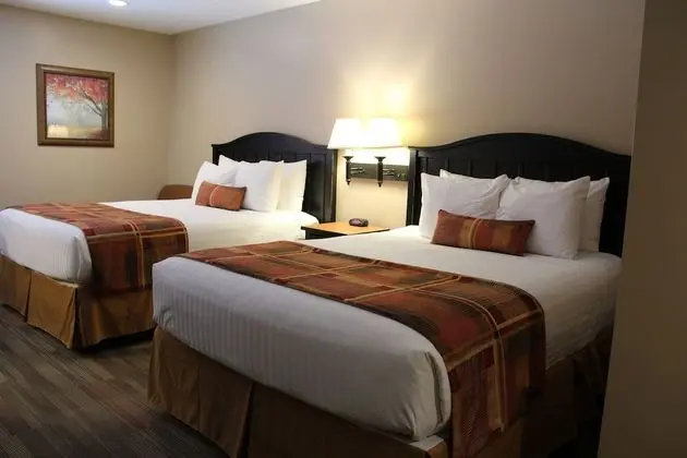 Standard Tek Büyük Yataklı Oda, 2 Büyük (Queen) Boy Yatak