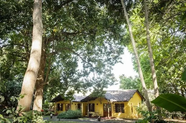 Garden Room