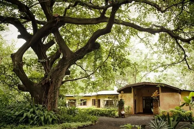 Garden Room