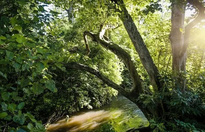 River Cottage