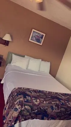 Standard Tek Kişilik Oda, 1 Büyük (Queen) Boy Yatak