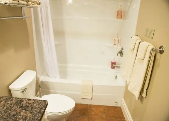 Standard Tek Büyük Yataklı Oda, 2 Büyük (Queen) Boy Yatak, Nehir Manzaralı