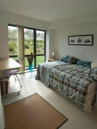 Standard Single Room.