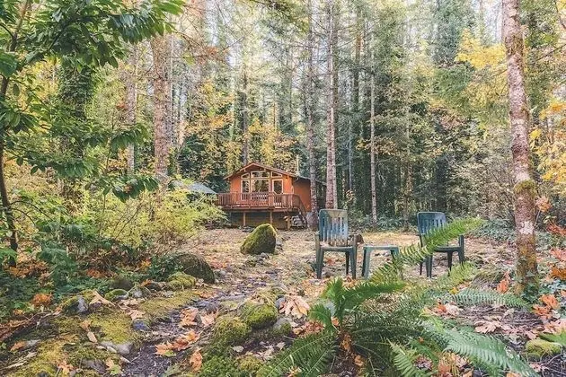 Kulübe, 1 Büyük (Queen) Boy Yatak (Riverwood Hideaway)