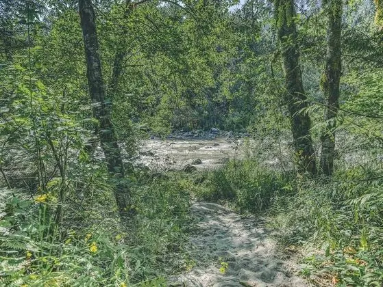 Kulübe, Birden Çok Yatak (Riverwoods Lodge)