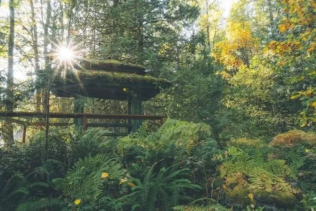 Kulübe, Birden Çok Yatak (Riverwoods Lodge)