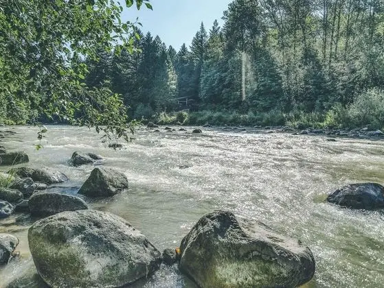 Kulübe, Birden Çok Yatak (Riverwoods Lodge)